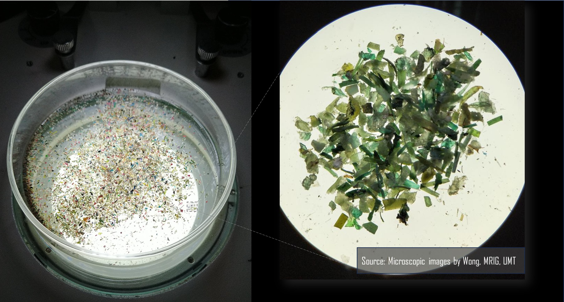 Our alarming plastic diet